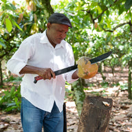 SUPPORTING SUSTAINABLE FARMING PRACTICES