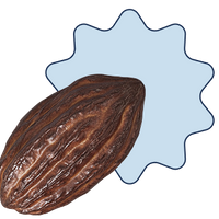 Cocoa bean with a blue starburst background