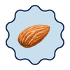 Almond on a light blue background