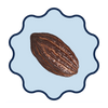 Illustration of a cocoa bean on a light blue background